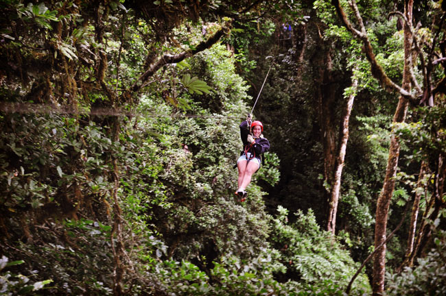 canopy