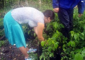 costa-rica-environment-conservation-1