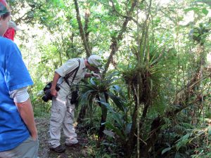 costa-rica-environment-conservation-19