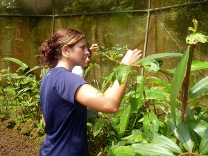 costa-rica-environment-conservation-29