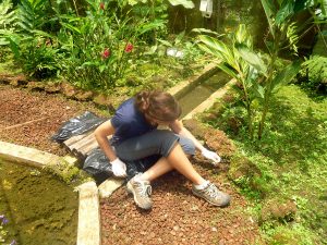 costa-rica-environment-conservation-31
