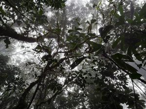 costa-rica-environment-conservation-41