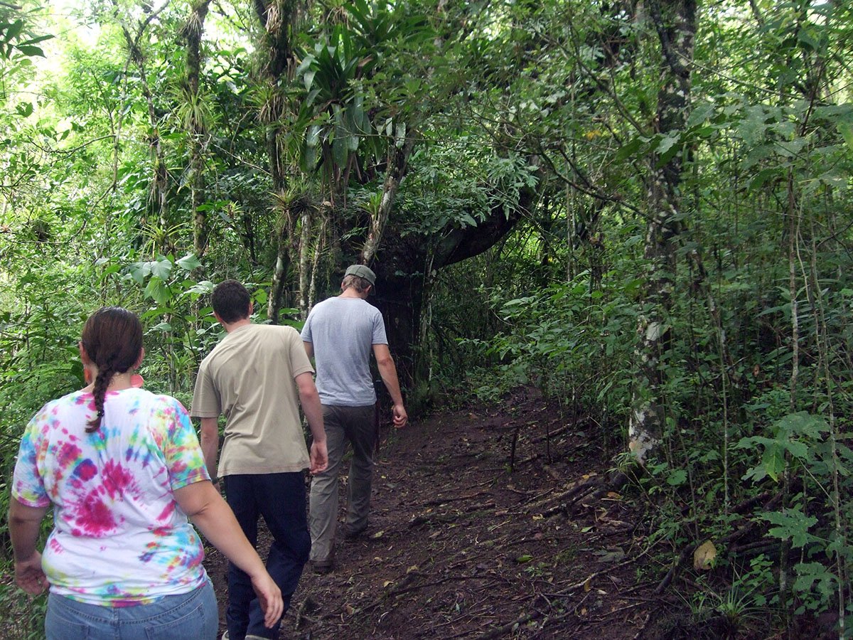 Volunteer in Environment Conservation in Costa Rica | uVolunteer