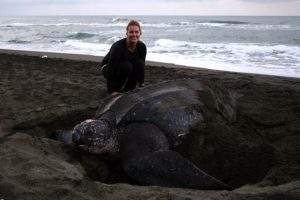 costa-rica-turtle-conservation-1