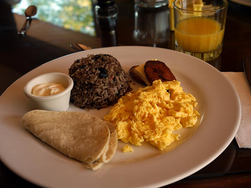 Gallo Pinto 