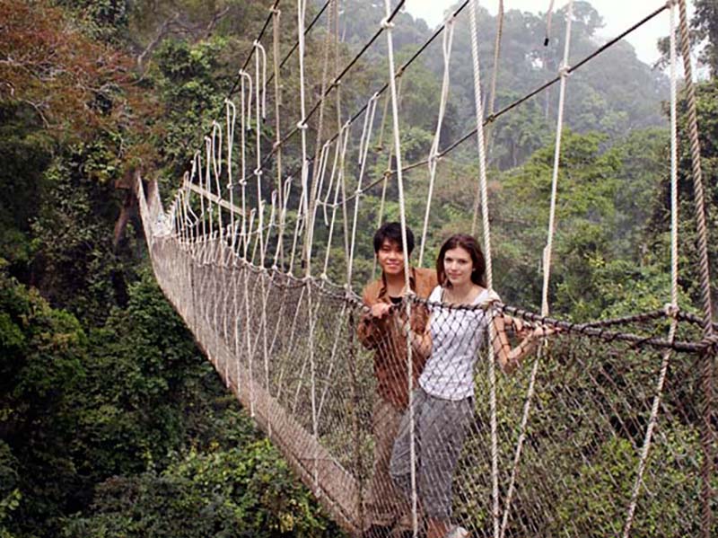 The Kakum National Park Canopy Walk is one of the top things to do in Ghana