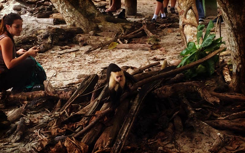 manuel-antonio-2