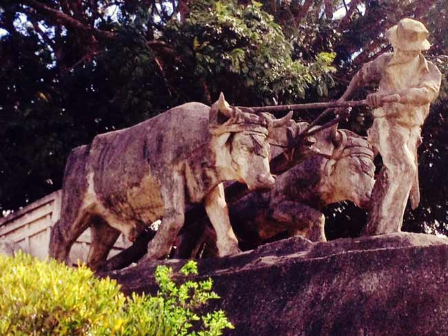 ox-cart-church-statue